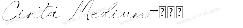 Cinta Medium字体转换